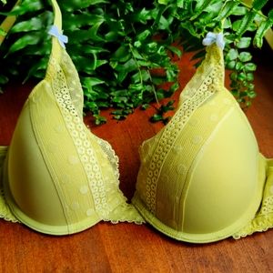 aerie 34b padded push up in spring green lace and blue ribbon bows. NWOT, NBW.